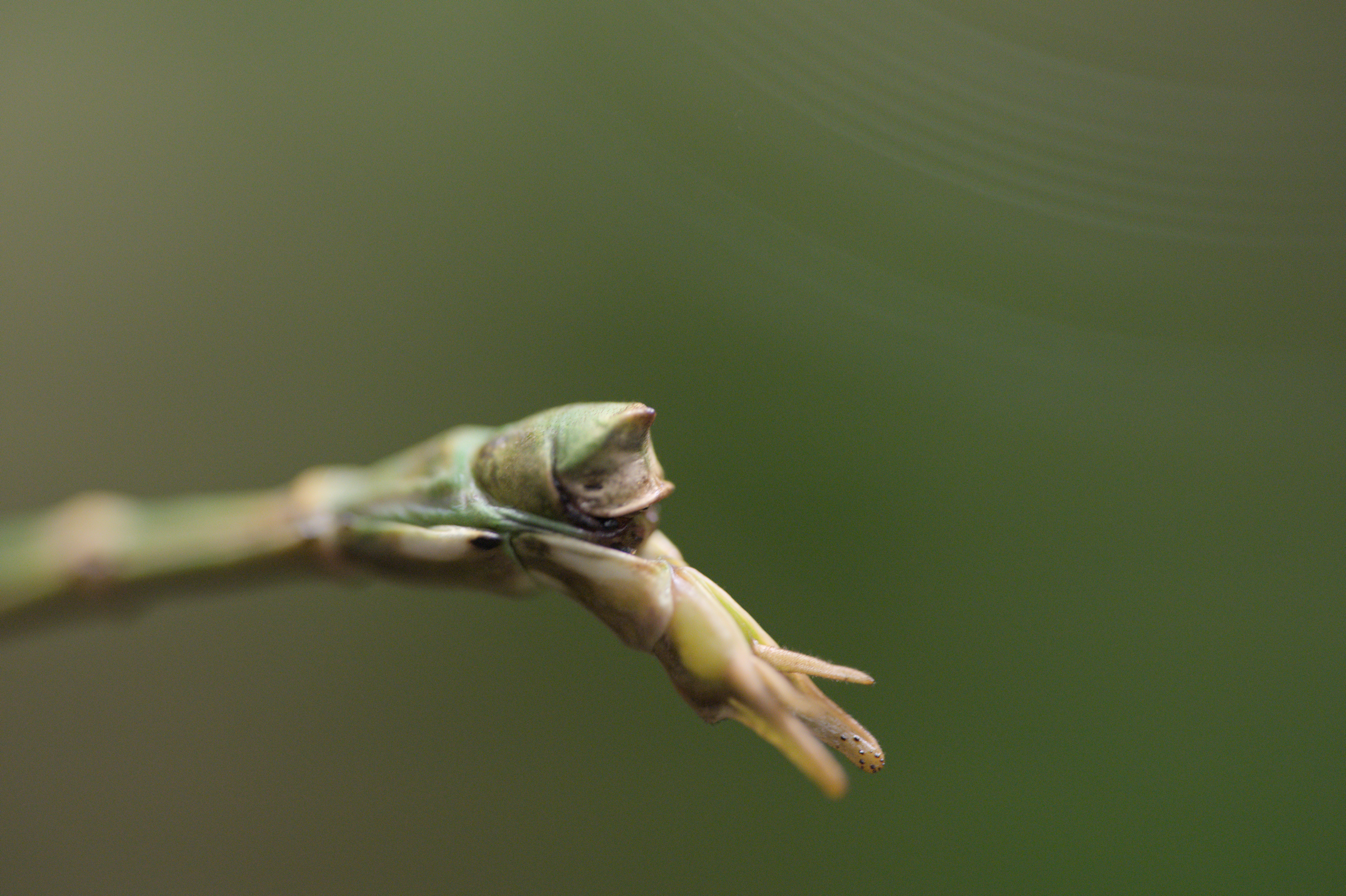 2025/10/12 - zoo/DSC_0210.jpg